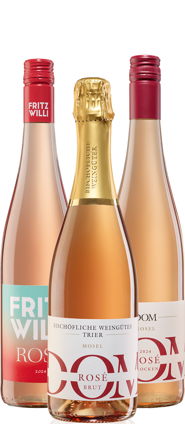 ROSÉ MOMENTE 3 x 2 Flaschen gemischtes Auswahlpaket 