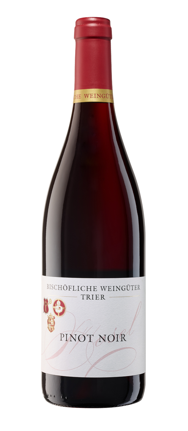 Pinot Noir von der Saar. 3 Flaschen 2022 Pinot Noir trocken 2022